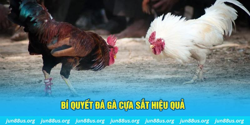 789 win nổ hũ may mắn