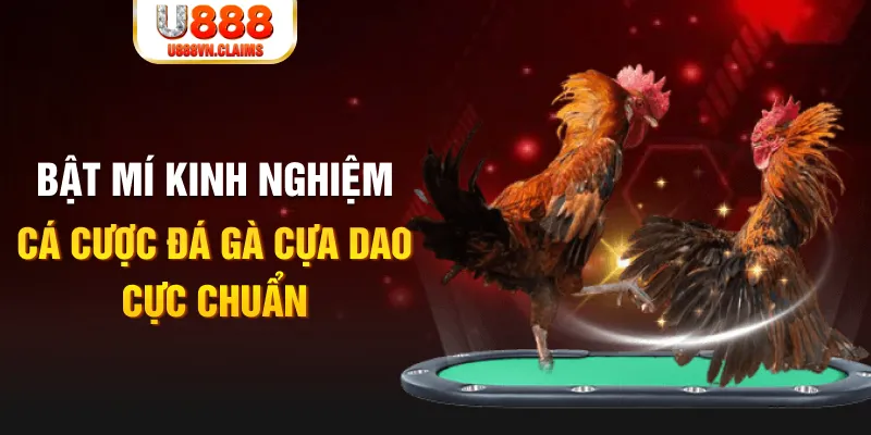 789 win casino hồ tràm có cho người việt vào không