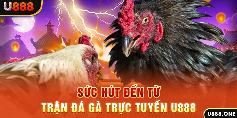 789 win đăng nhập poker 2024