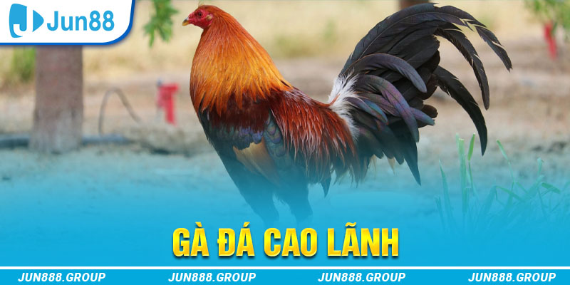 789 win tai game vua bai ve may tinh