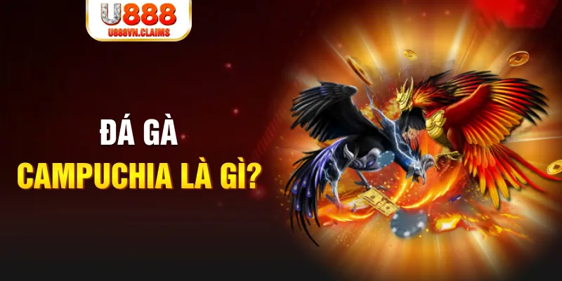 789 win what is the best online casino for real money