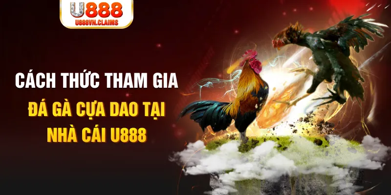789 win đá gà 88.com
