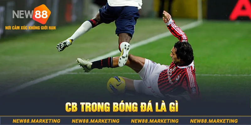789 win DG Trực Tuyến