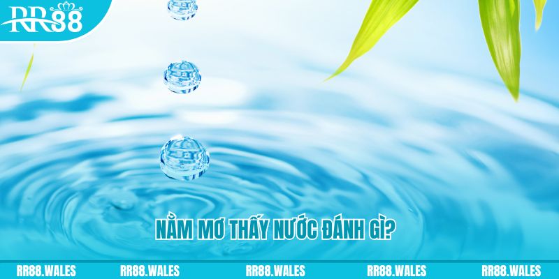 789 win xổ số trực tiếp miền bắc
