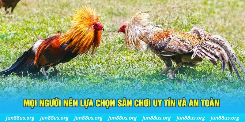 789 win đăng nhập poker 2025