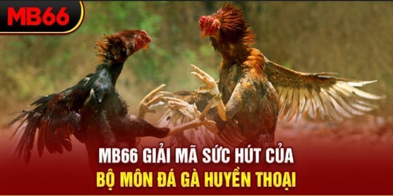 789 win xổ số đài bắc