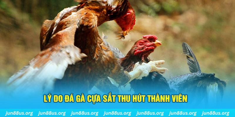 789 win nổ hũ ăn bao nhiêu