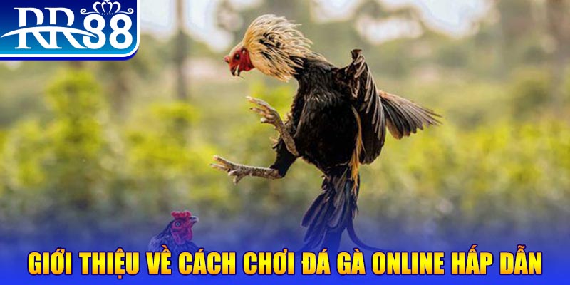789 win EvoPlay Điện Tử