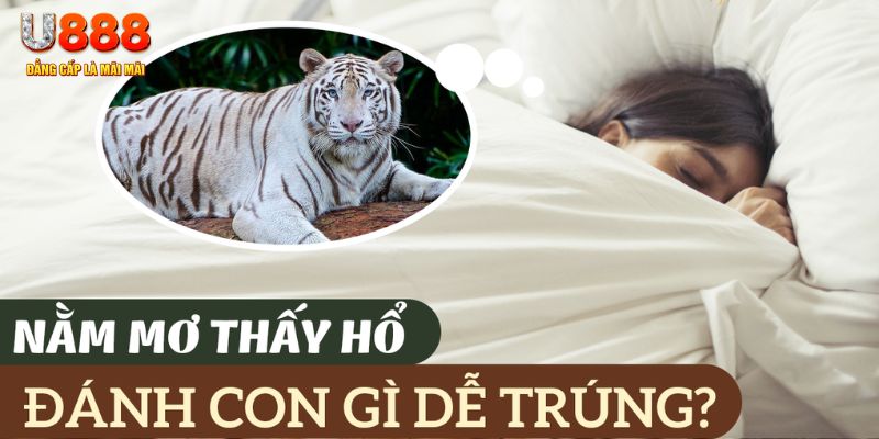 789 win nohu .mx nổ hủ là gì
