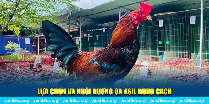 789 win nổ hũ thần tài là gì