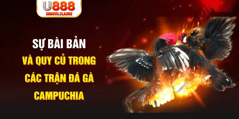789 win game xếp bài trên máy tính