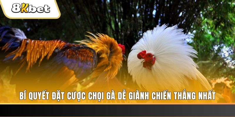 789 win nổ hũ chơi như thế nào