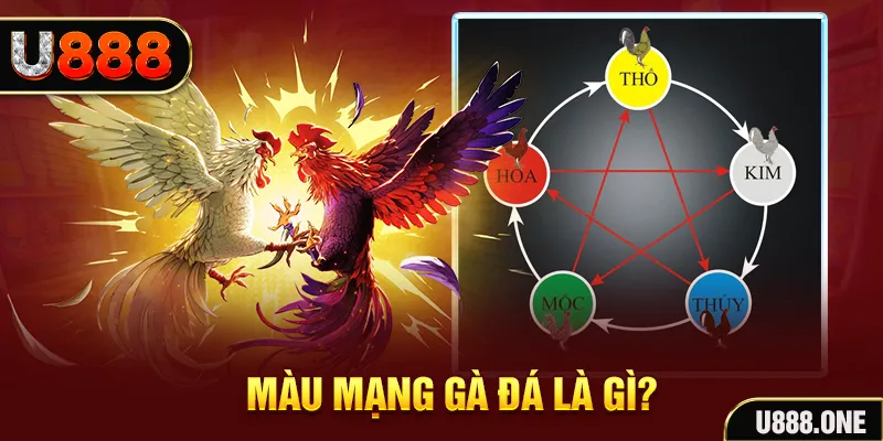 789 win V8 Game Bài 3d