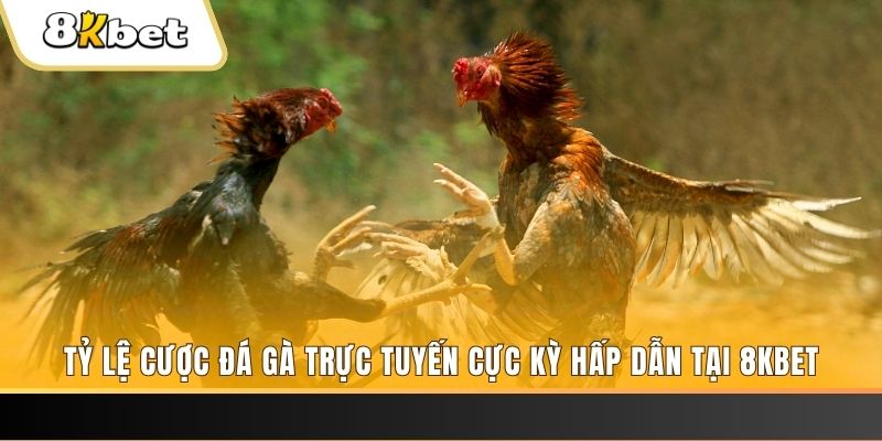 789 win xổ số miền bắc chủ nhật