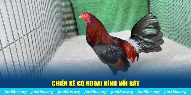 789 win qq88 bắn cá