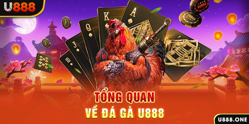 789 win xổ số vietlott