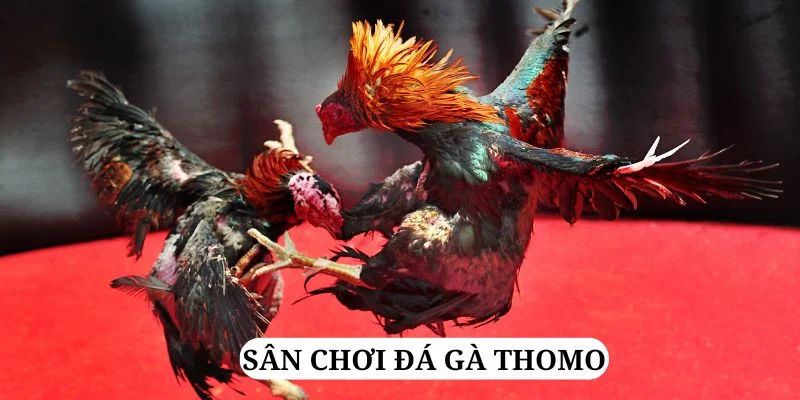 789 win quay nổ hũ là gì