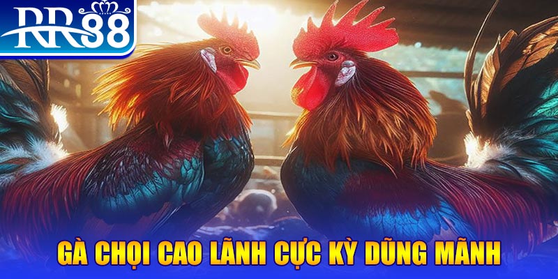 789 win đăng nhập poker live